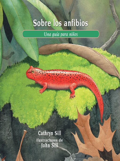 Title details for Sobre los anfibios by Cathryn Sill - Available